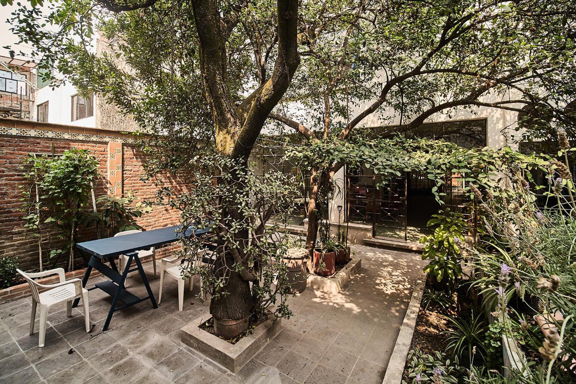 Nuevo Con Vistas A Jardin Cerca De Coyoacan