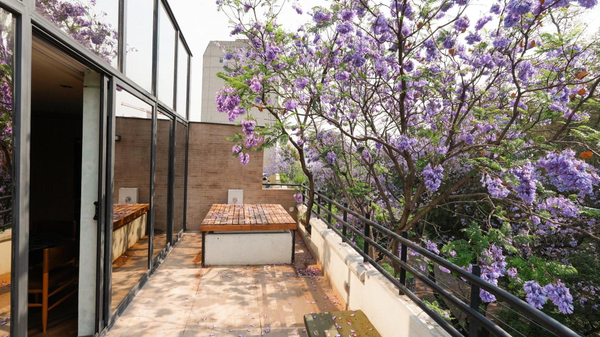 Hotel Rodona