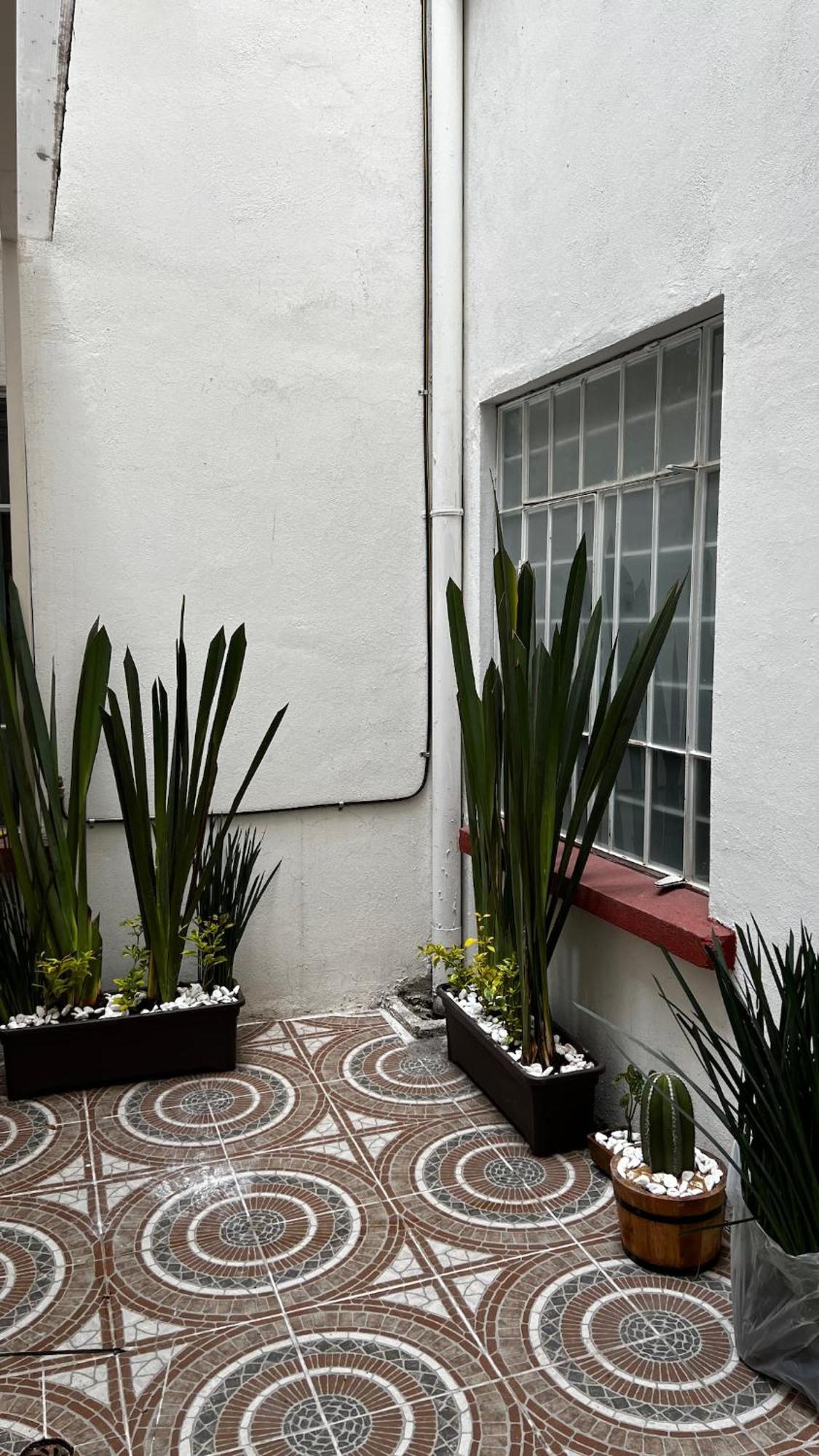 Centrally Located And Cozy In Cdmx Apartamento México DF