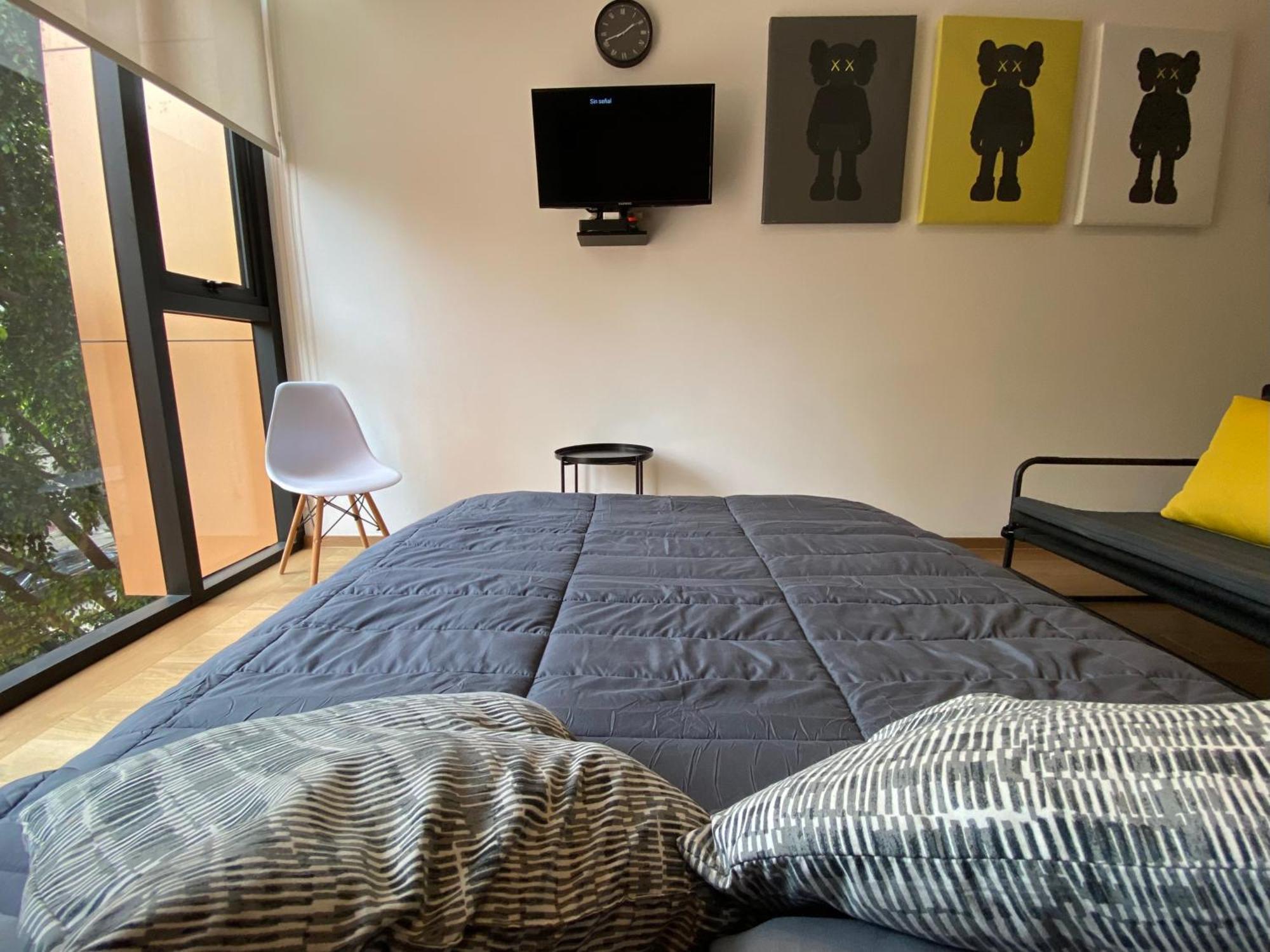 Cozy Roma Condesa Apartamento México DF