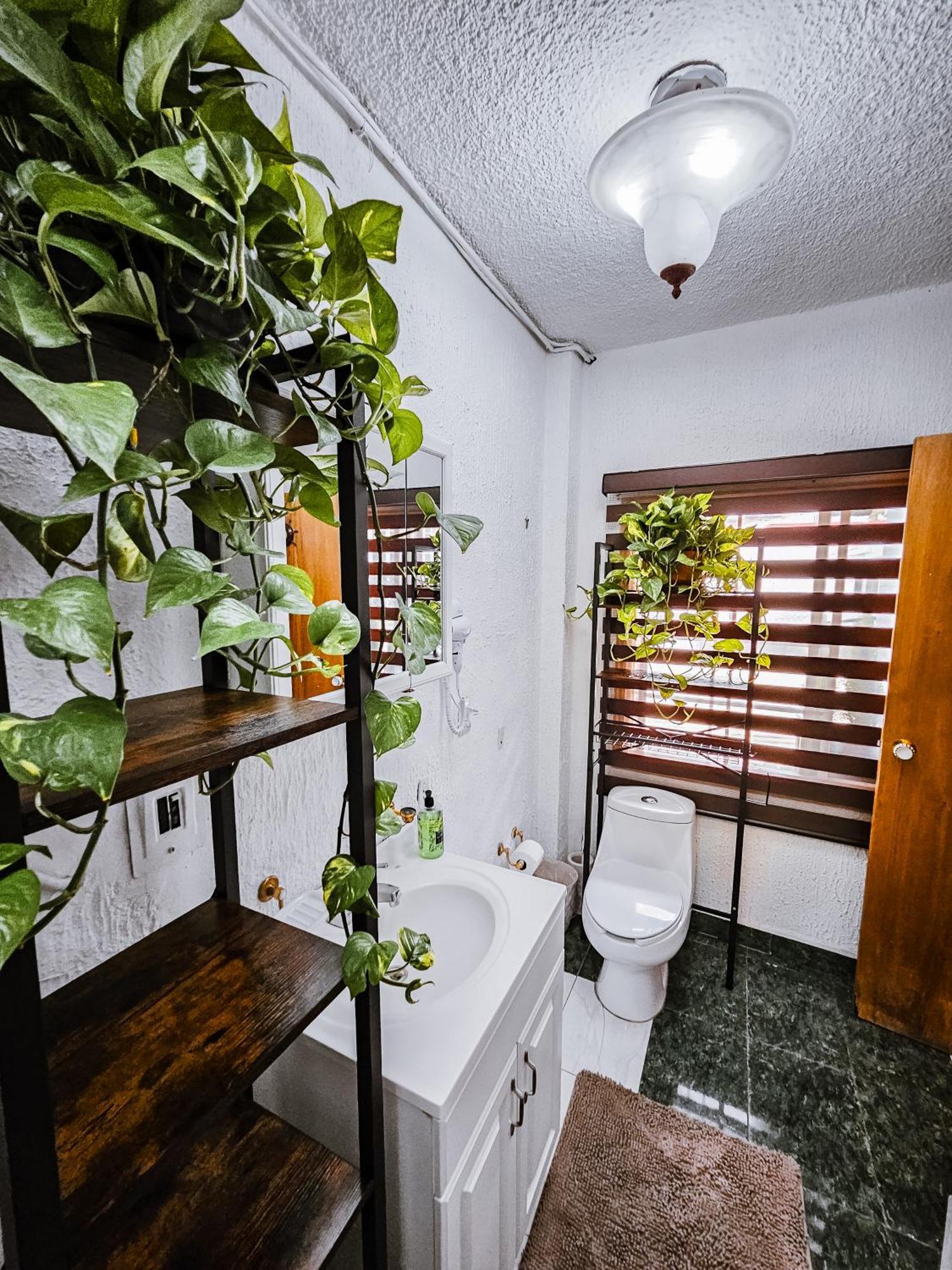 Con Bano Privado B, Centro De Coyoacan Apartamento Cidade do México