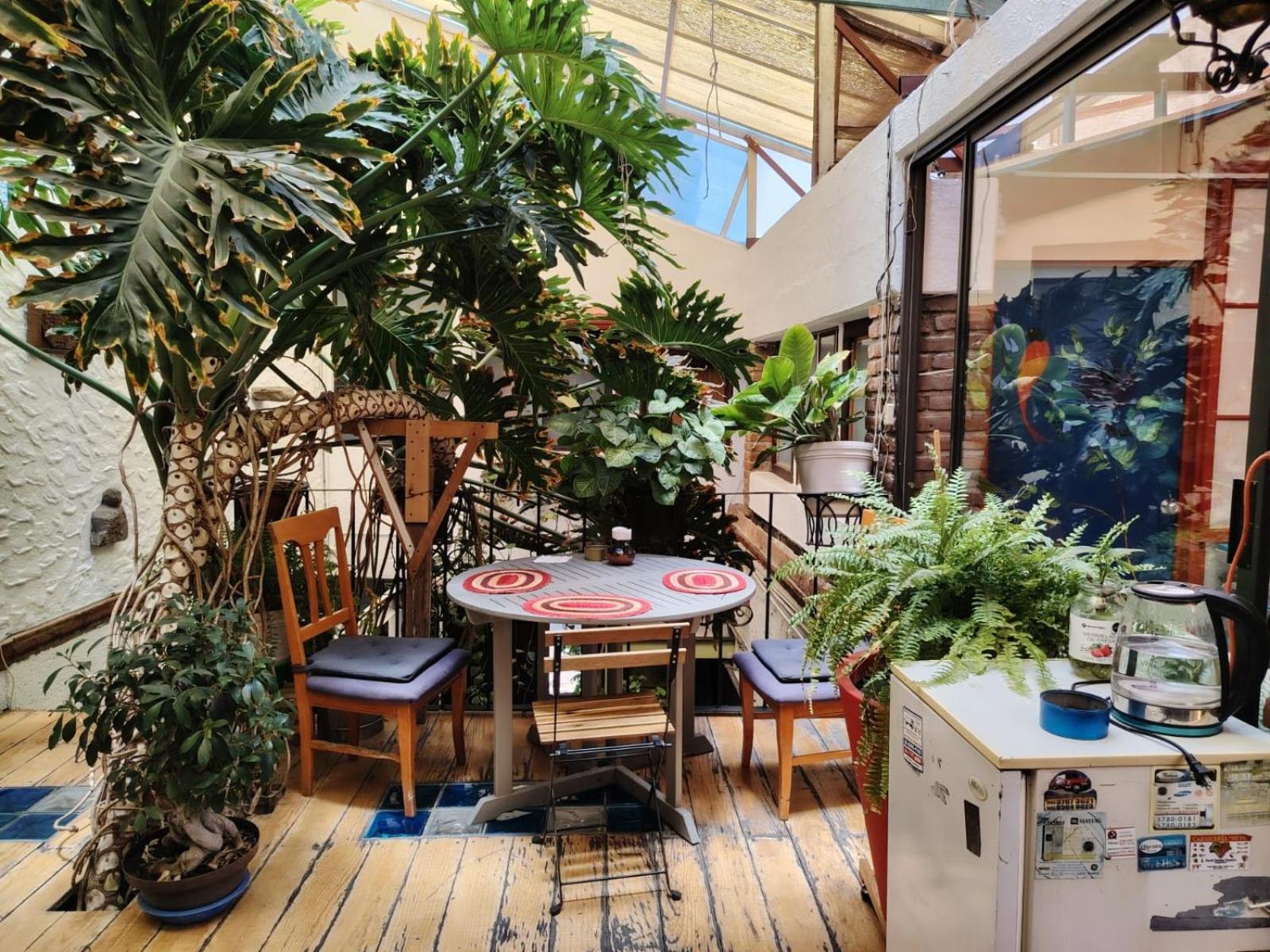 Hostal Mexico Airport Cdmx Hostel Mexico City