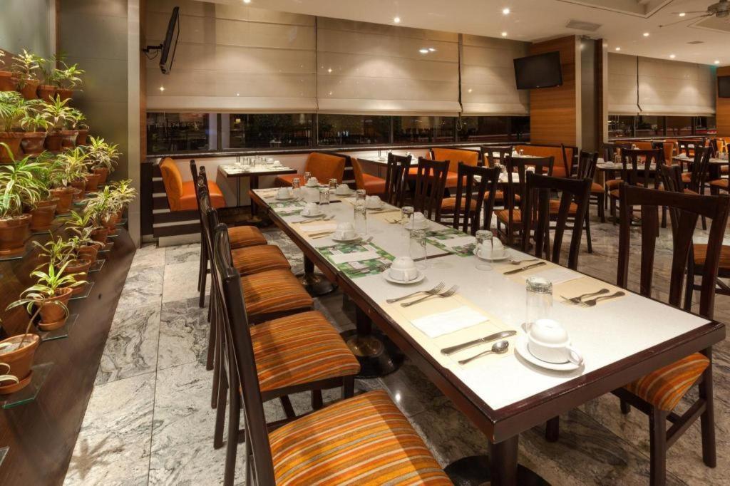 Hotel Coyoacan 3*