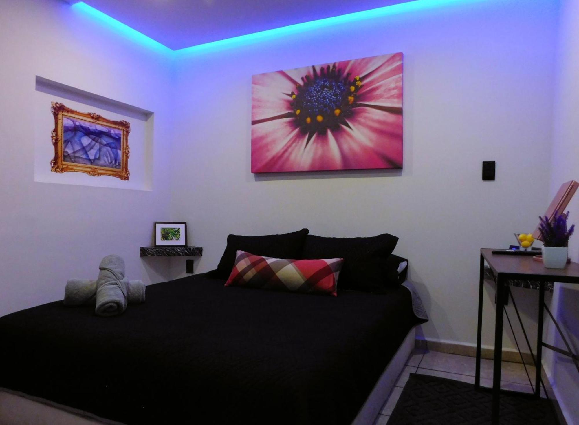 Apartamento Depa Privado Estadio Gnp -foro Sol-, Palacio De Deportes
