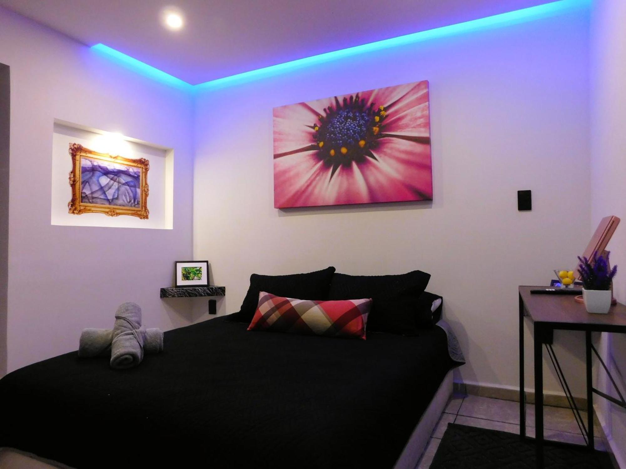 Apartamento Depa Privado Estadio Gnp -foro Sol-, Palacio De Deportes *