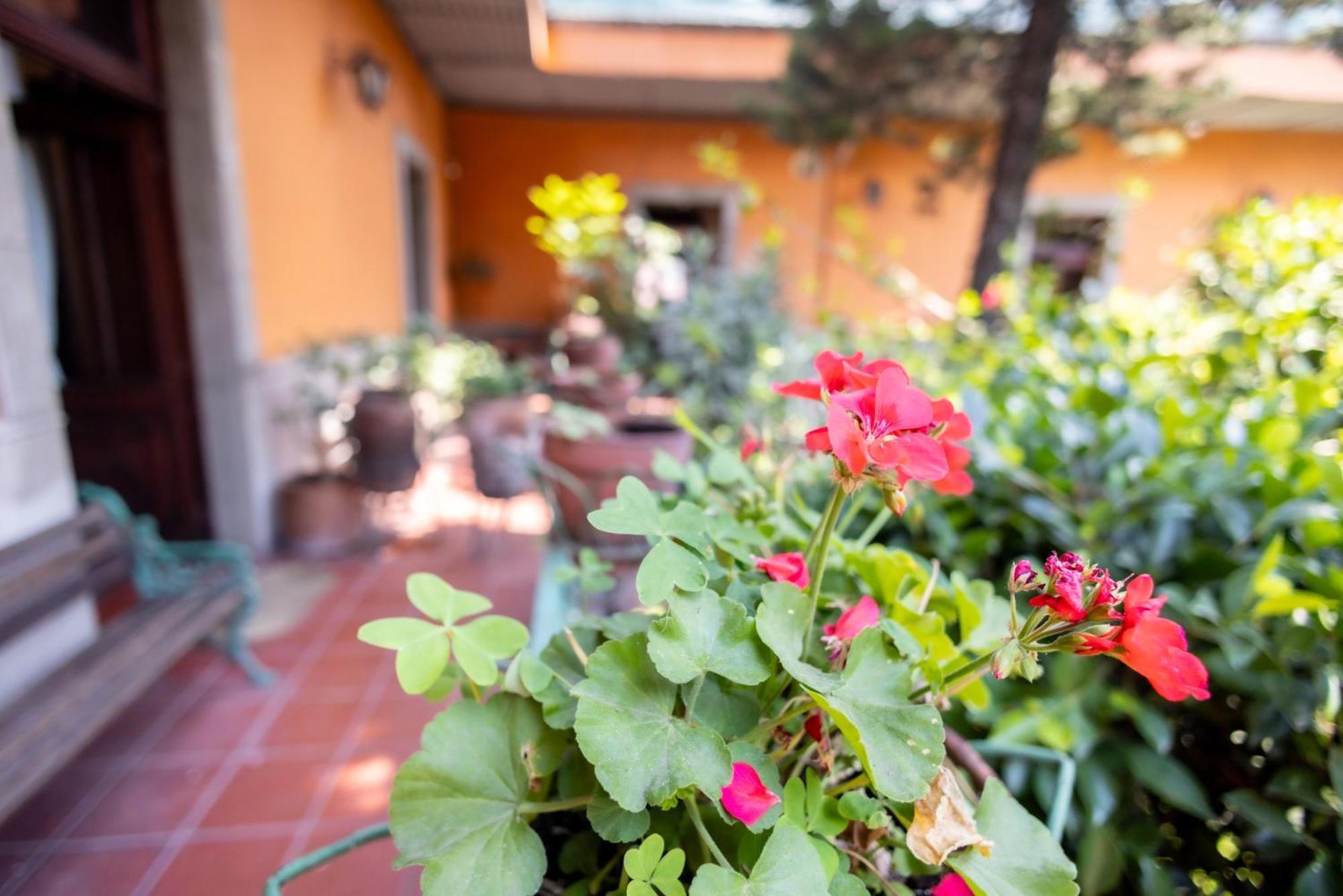 Hacienda Gobernadores