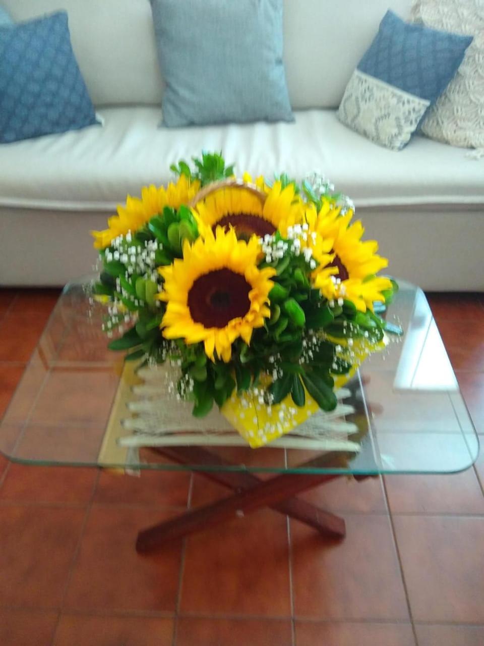 Apartamento Acogedor Departamento Cidade do México