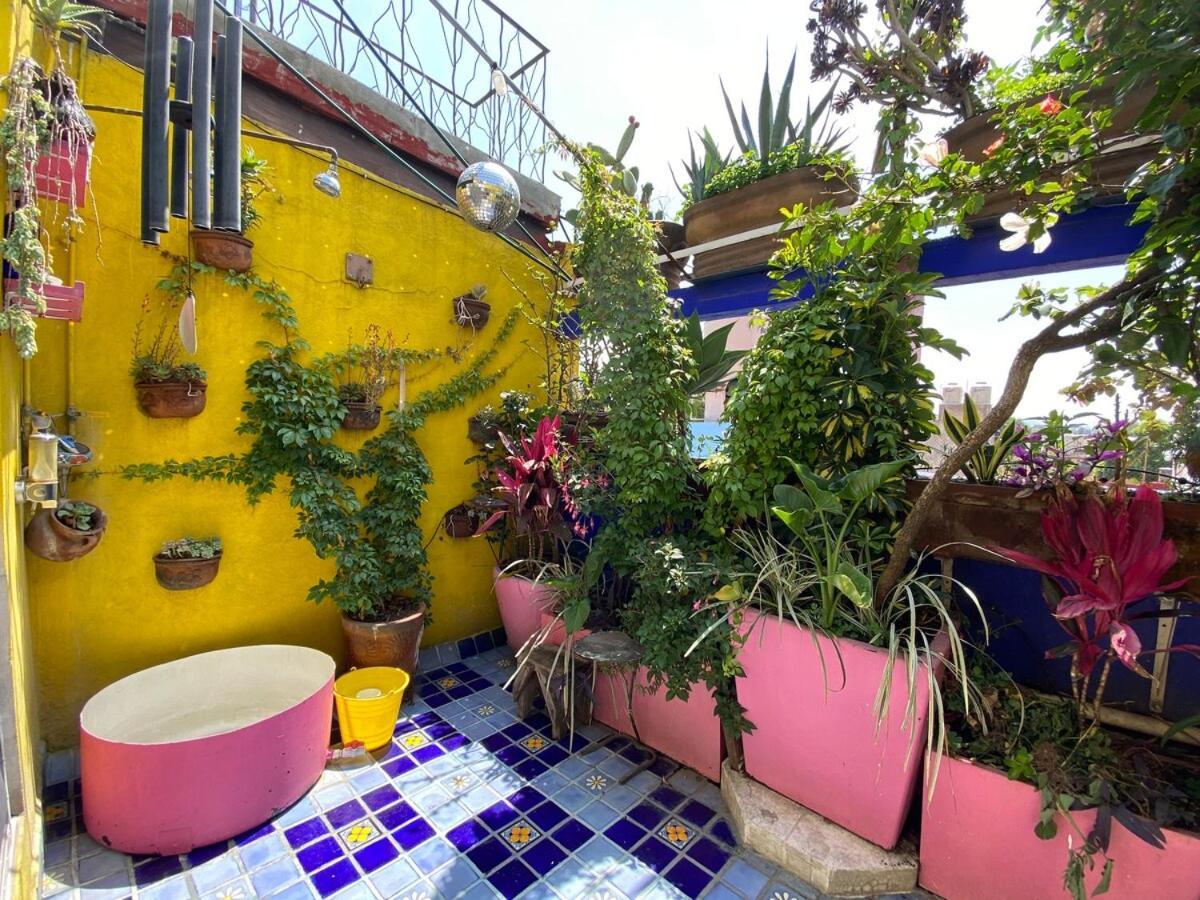 Сasa de vacaciones Sustainable - Casa Vecindad Murals