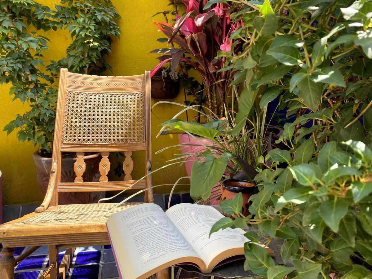 Сasa de vacaciones Sustainable - Casa Vecindad Murals