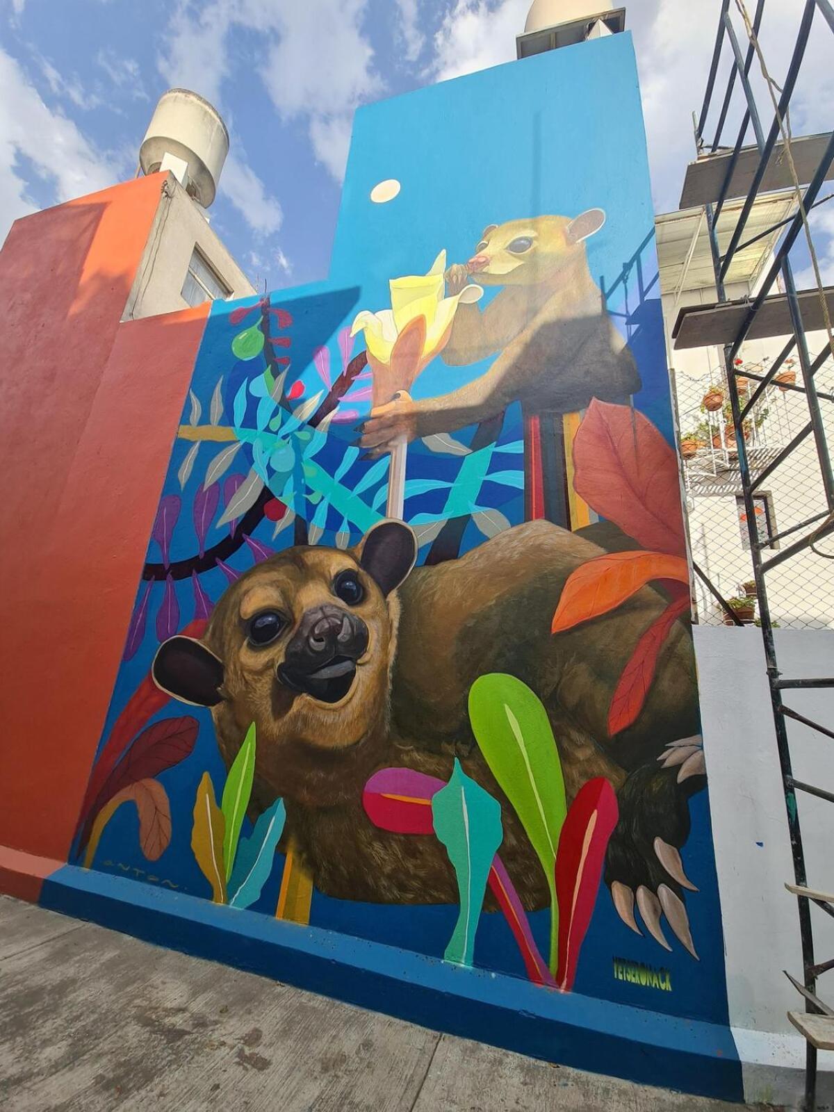 Sustainable - Casa Vecindad Murals Сasa de vacaciones *