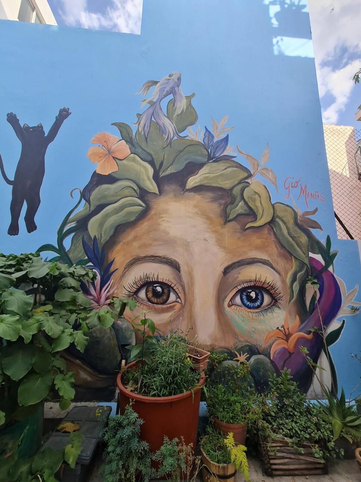 Sustainable - Casa Vecindad Murals