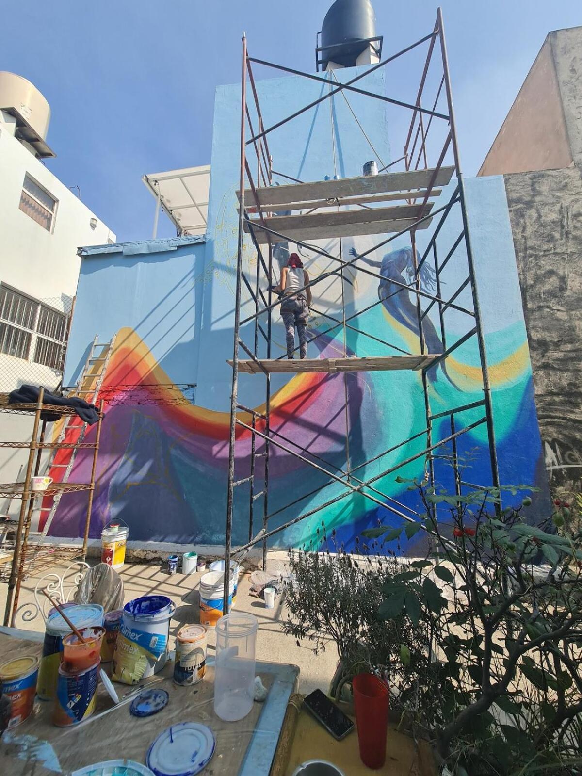 Sustainable - Casa Vecindad Murals *