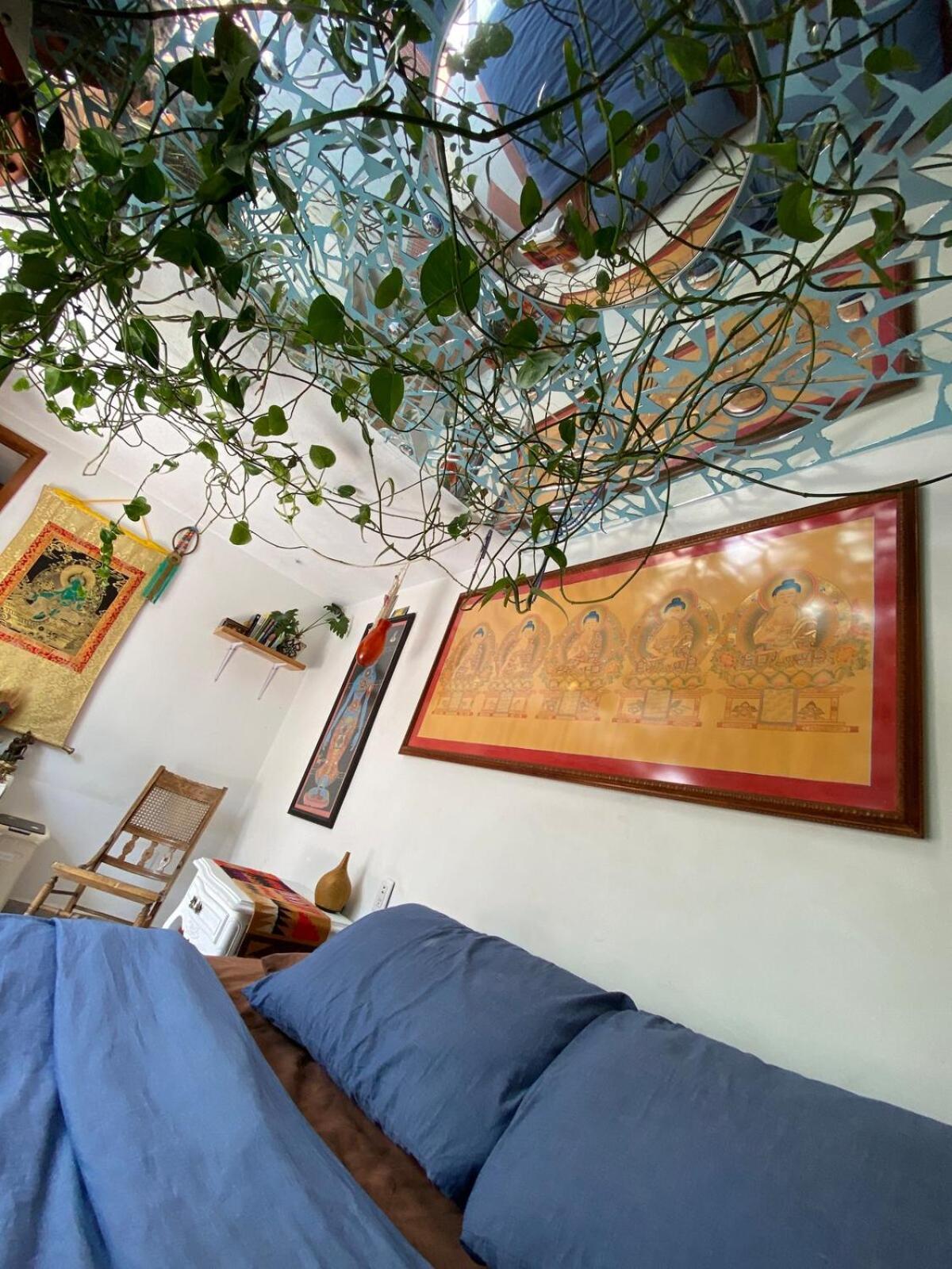 Сasa de vacaciones Sustainable - Casa Vecindad Murals