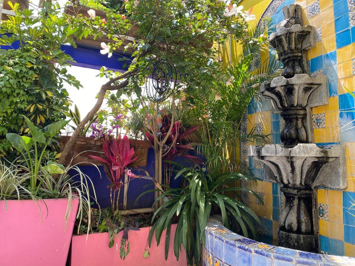 Sustainable - Casa Vecindad Murals *