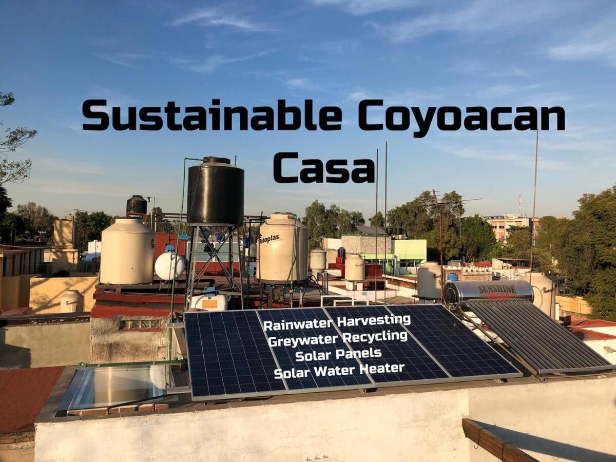 Sustainable - Casa Vecindad Murals *