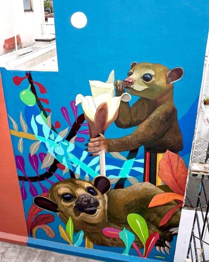 Sustainable - Casa Vecindad Murals * México DF