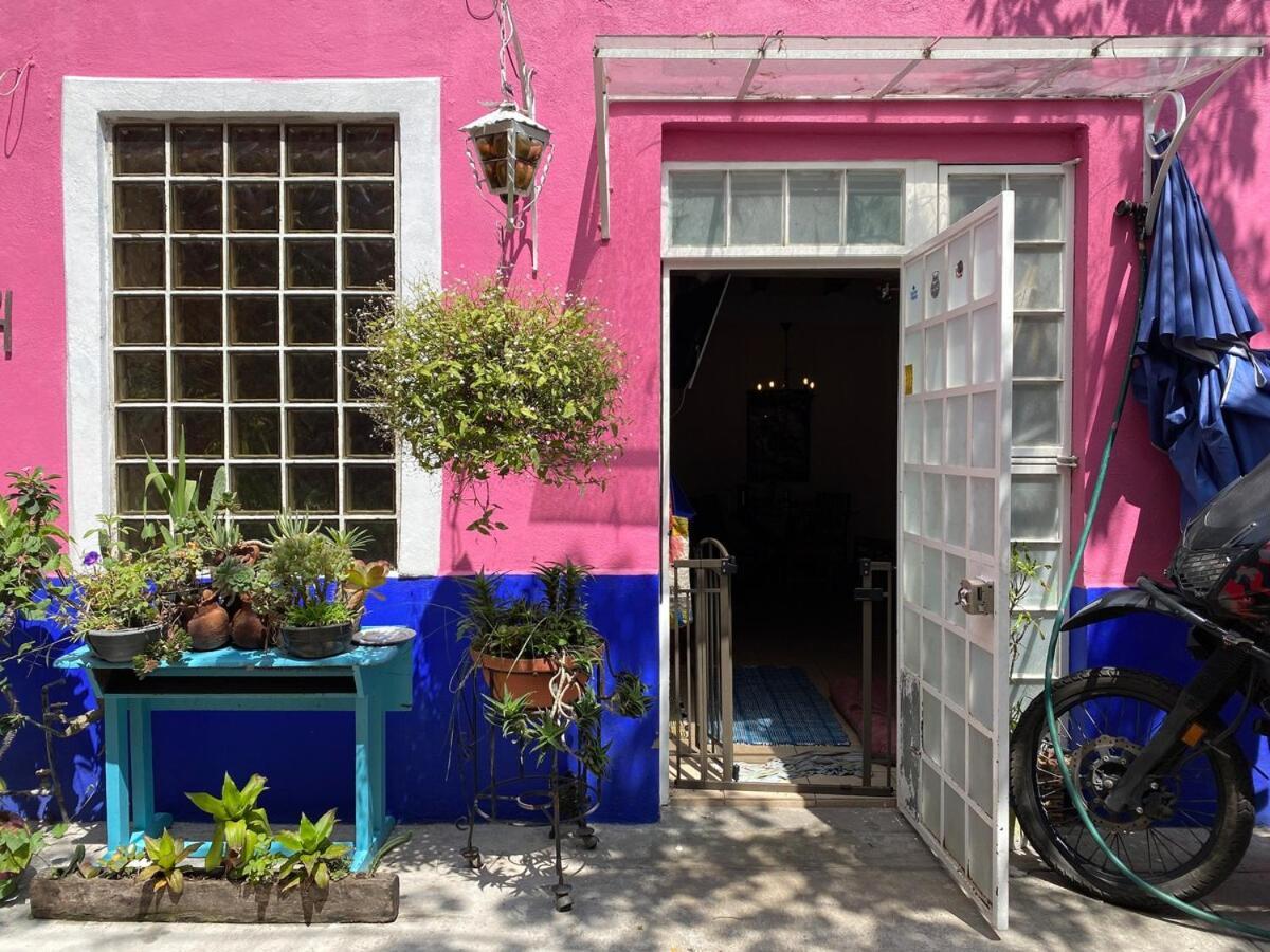 Sustainable - Casa Vecindad Murals