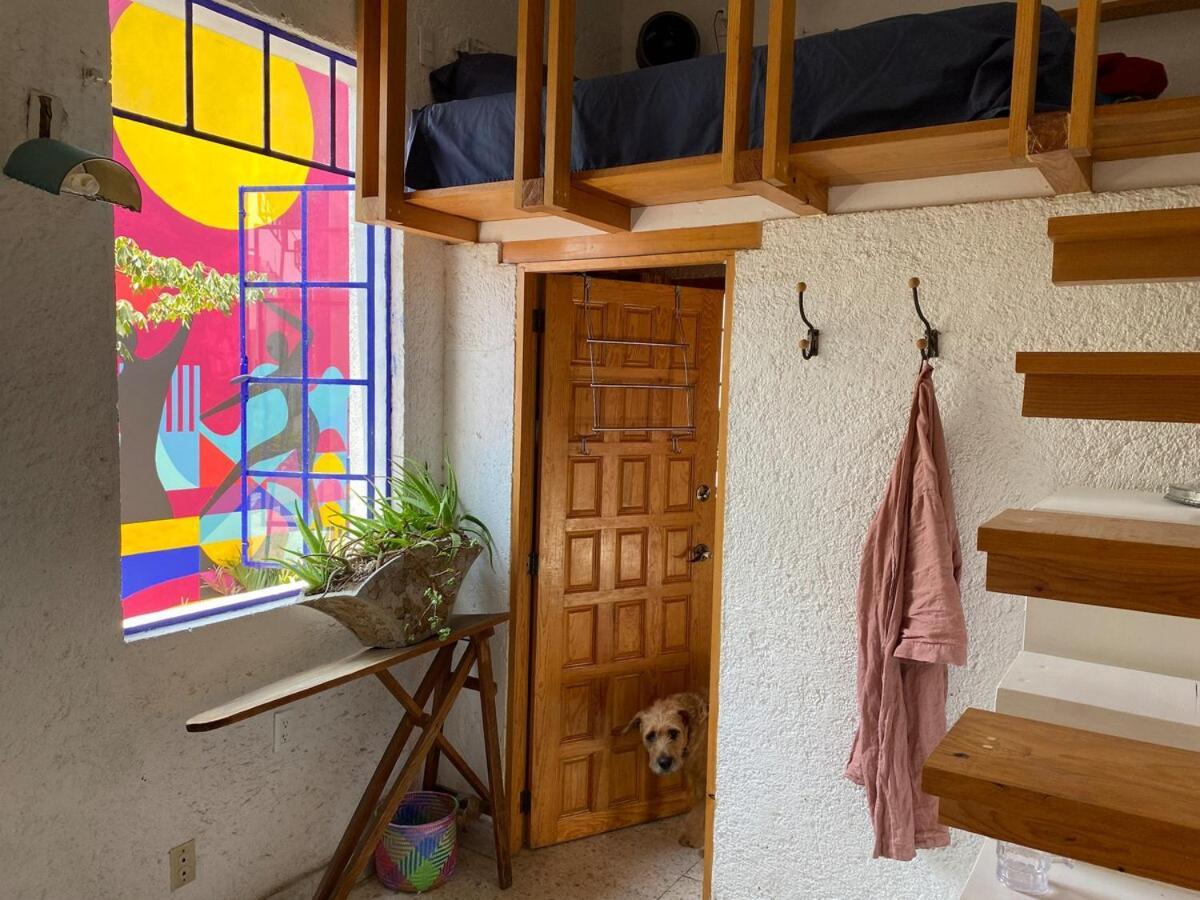 Sustainable - Casa Vecindad Murals