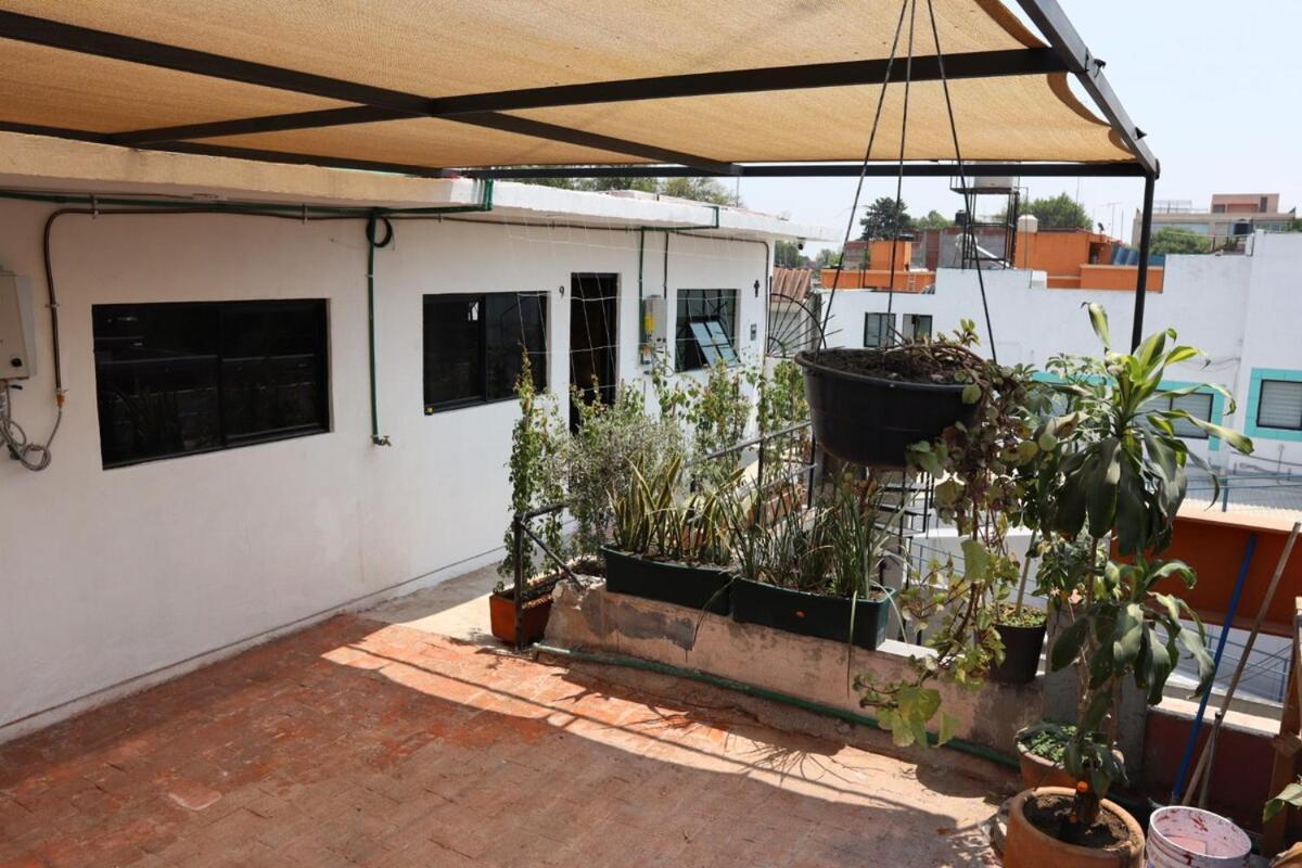 Apartamento 5 Minutos De La Casa Azul I Departamento Coyoacan *
