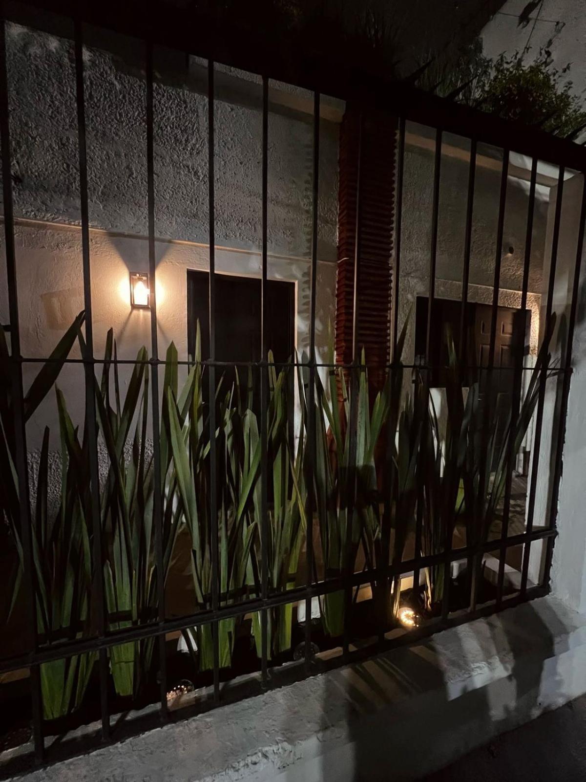 Apartment Moderno Departamento