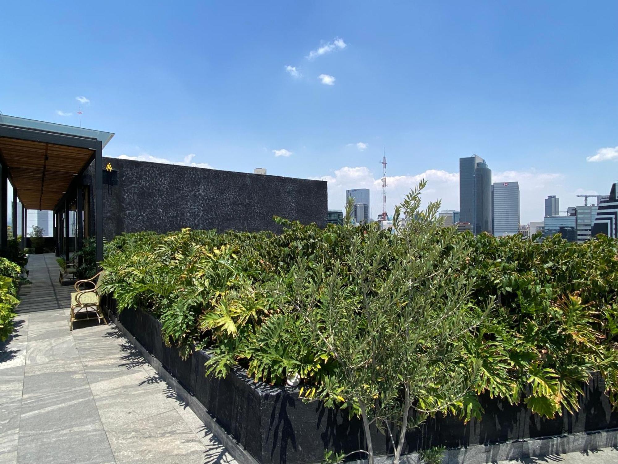 Cozy Roma Condesa Apartamento *