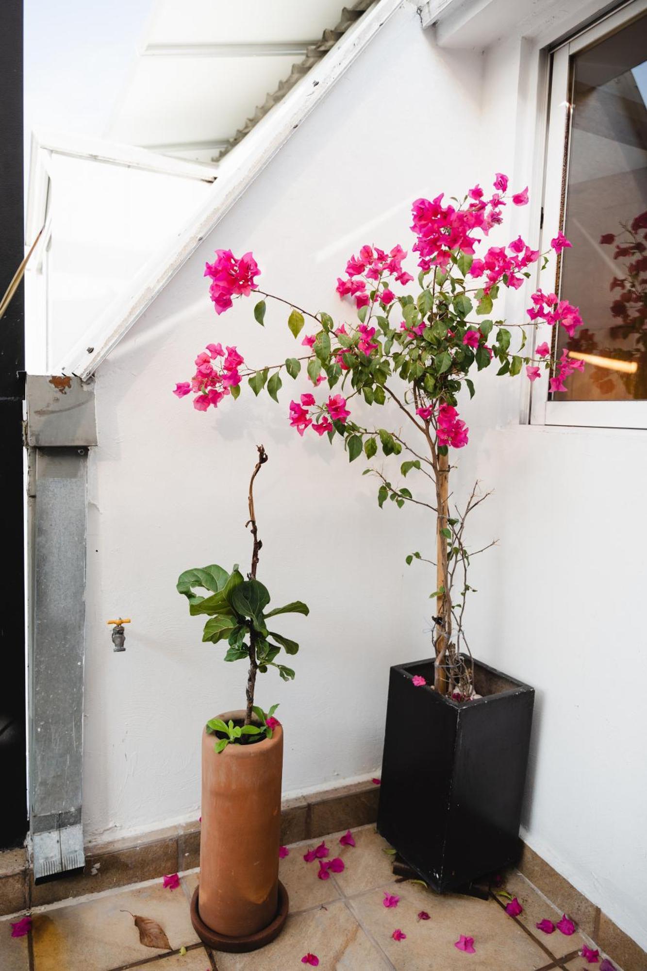 The Gallery Apartamento *