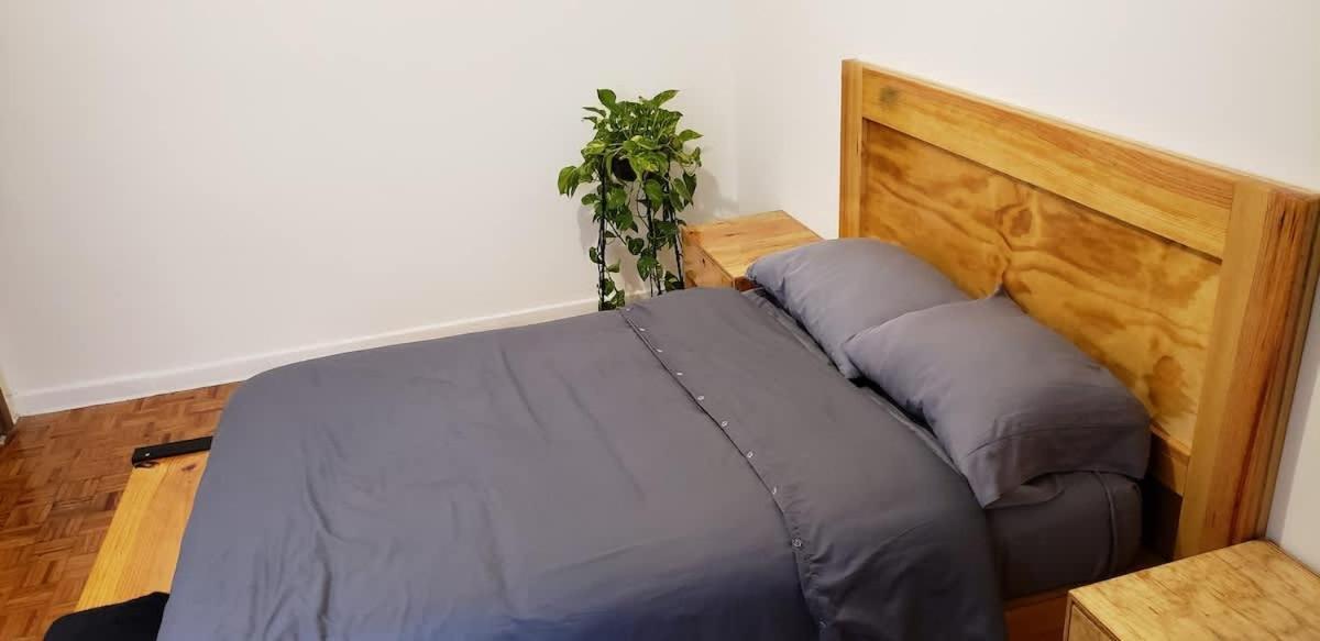 1 Bedroom Hipster In Esquina Del Chilaquil *
