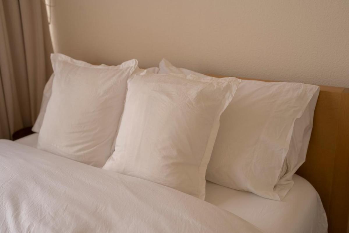 Apartment Comfort And Style In Condesa Mexico City