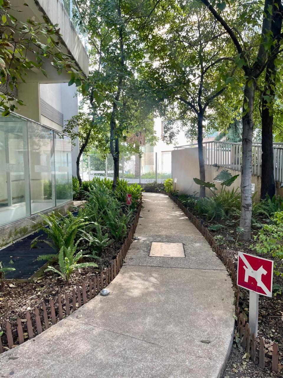 Luxury In Polanco Apartamento