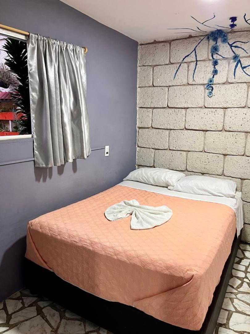 Casita Del Arbol Mexico City