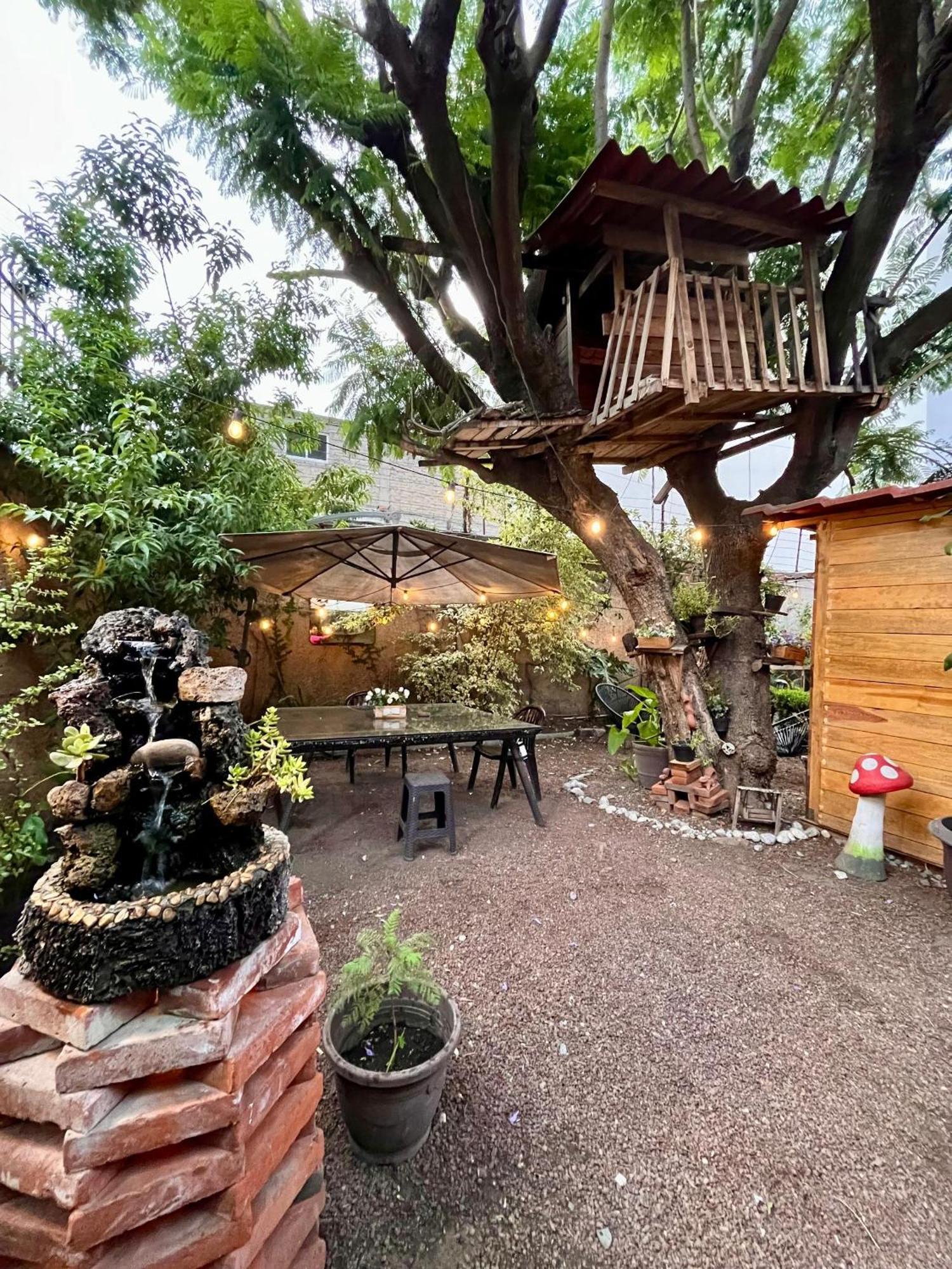 Casita Del Arbol Mexico City
