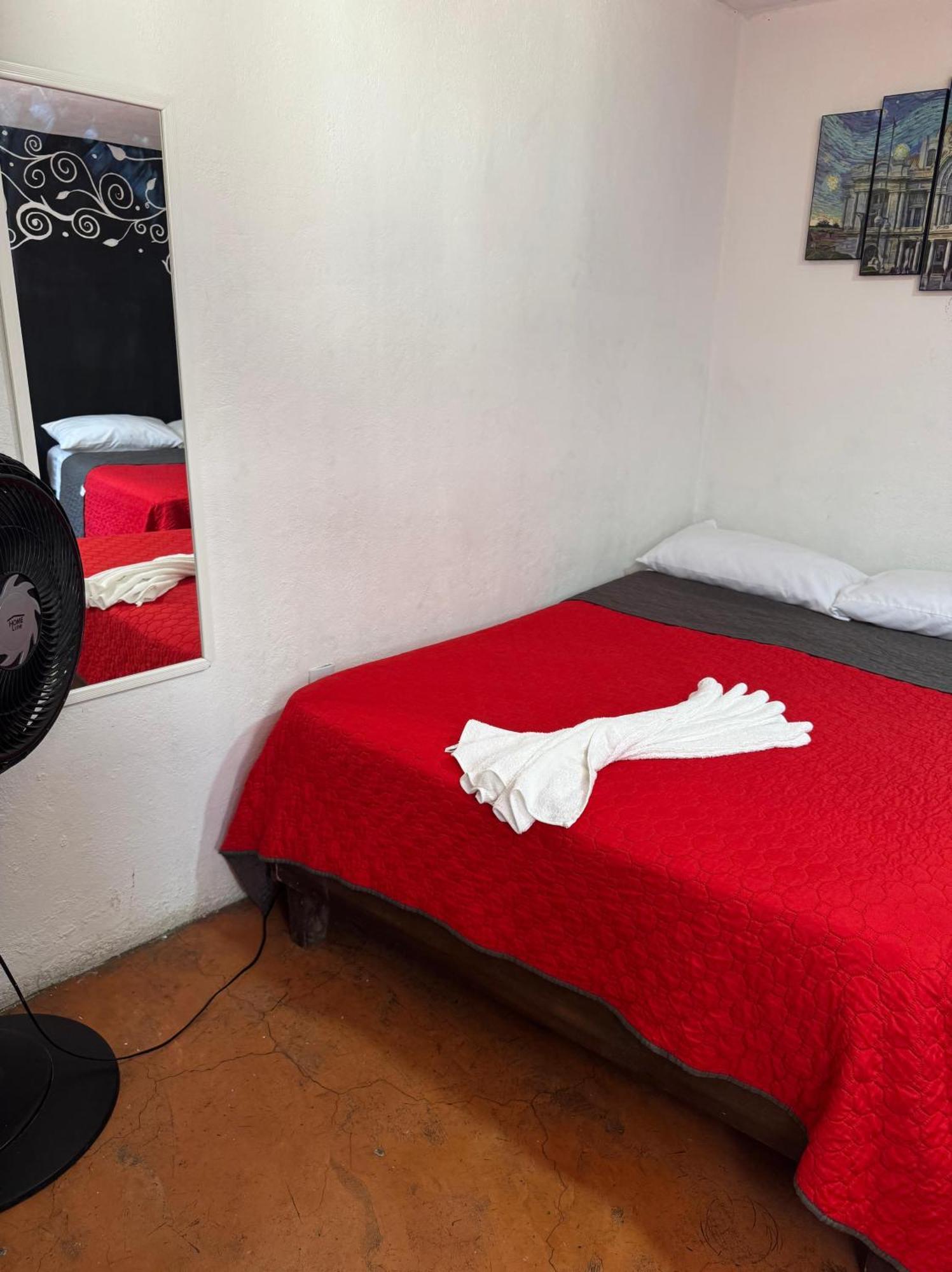 Homestay Casita Del Arbol