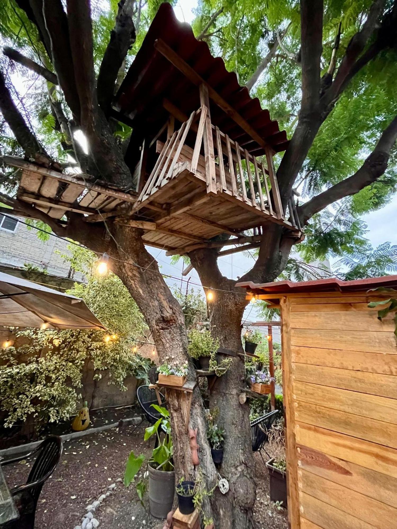 Habitación en casa particular Casita Del árbol