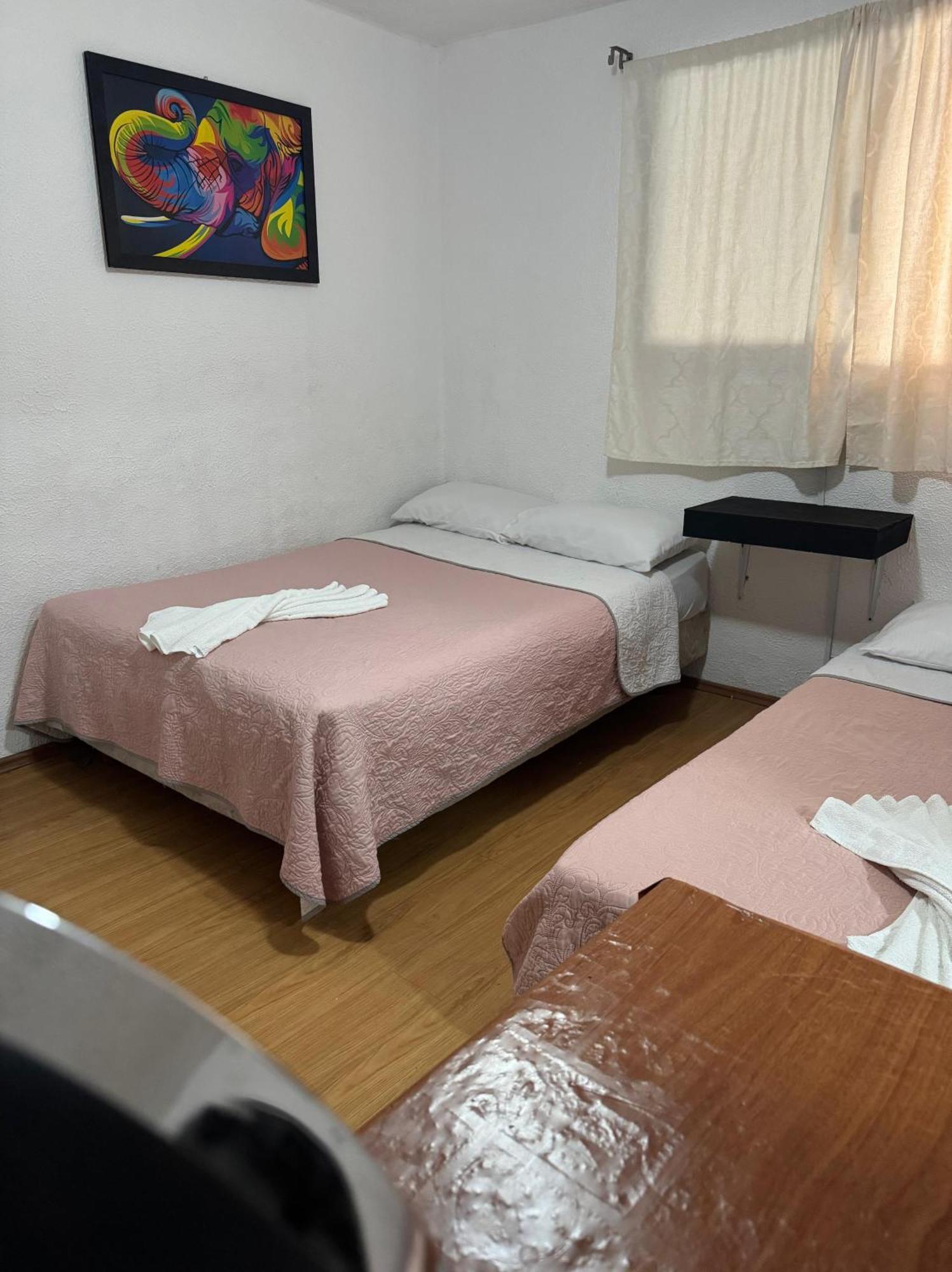 Casita Del Arbol * Mexico City