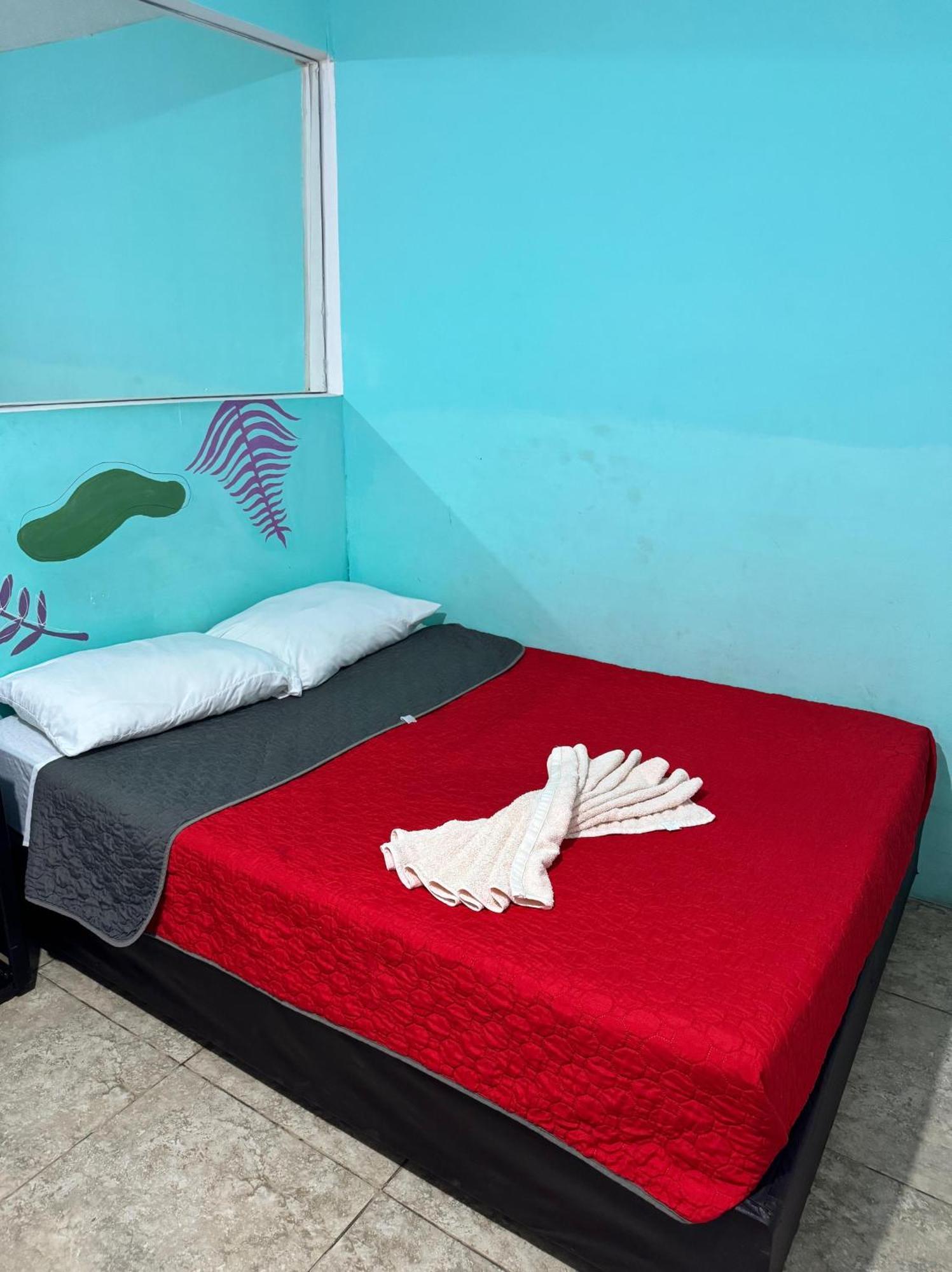 Homestay Casita Del Arbol *