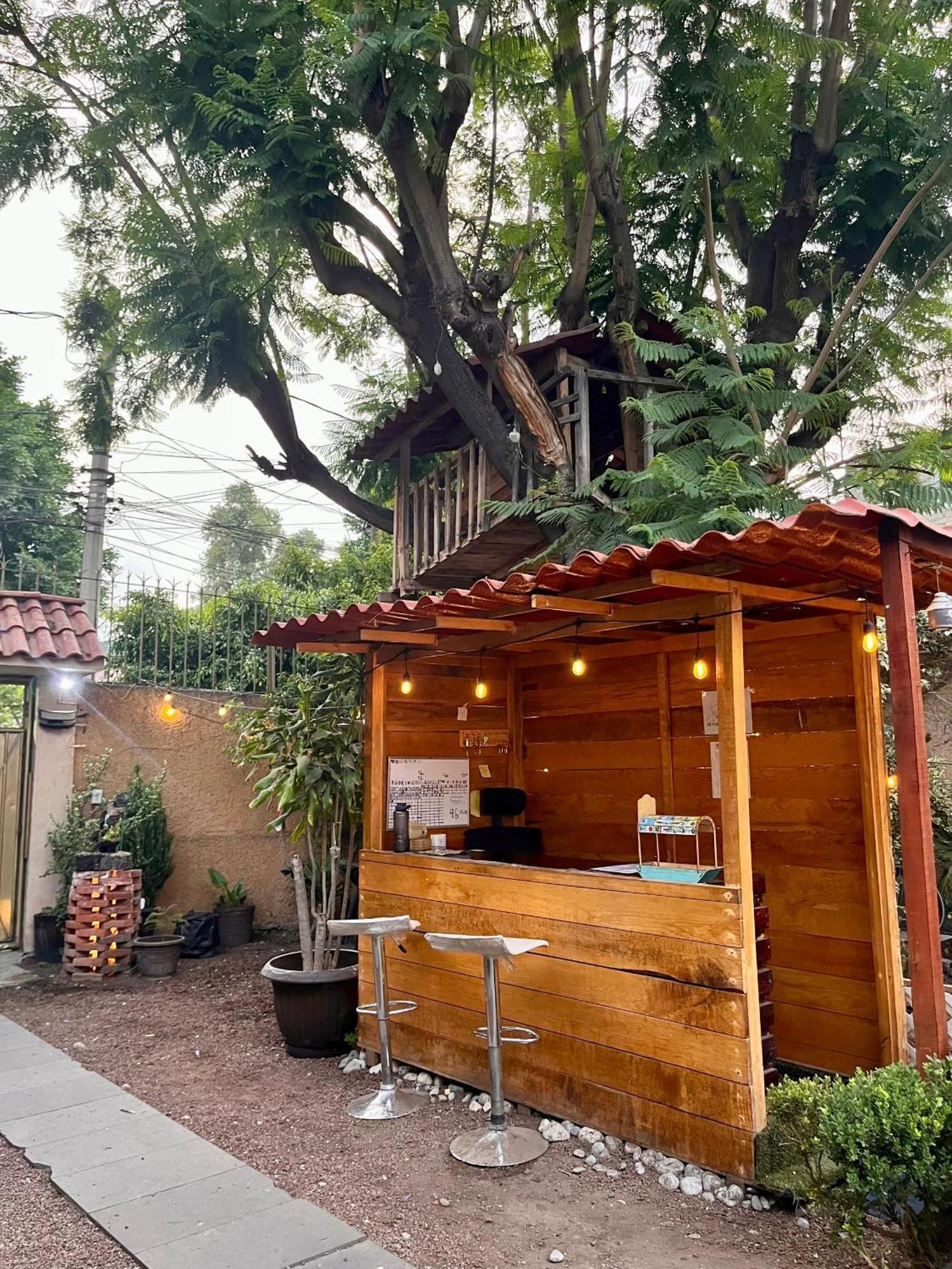 Homestay Casita Del Arbol *