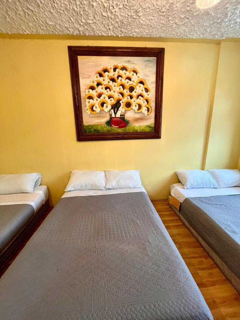 Casa de hóspedes Gran