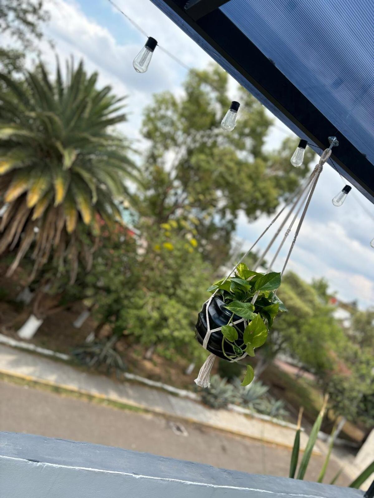 With Terrace Near Cdmx Airport