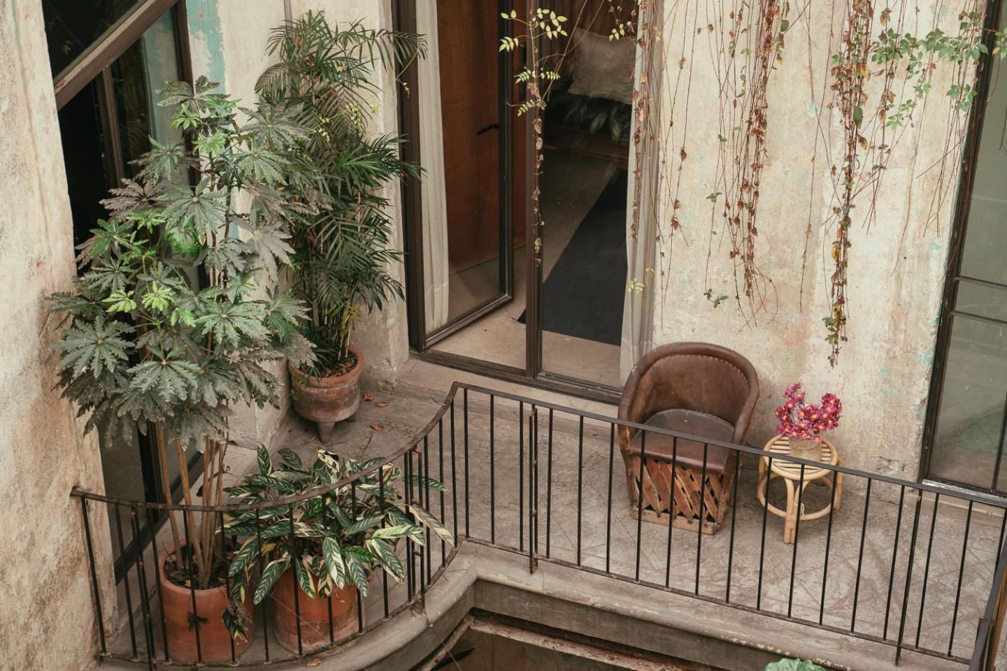 Guest Jardin Prim Hotel