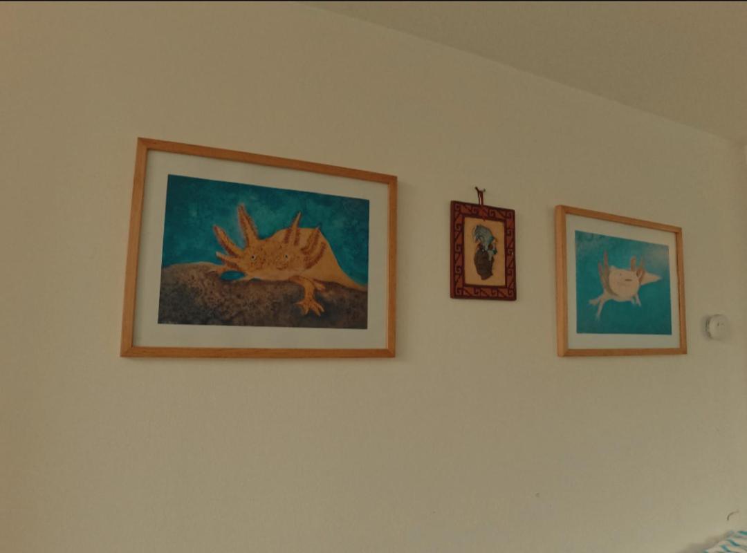 Mexicanissima For Family, Groups