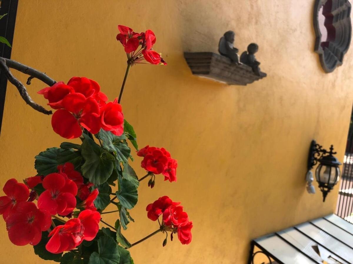 Hermosa Casa En Coyoacan * Mexico City