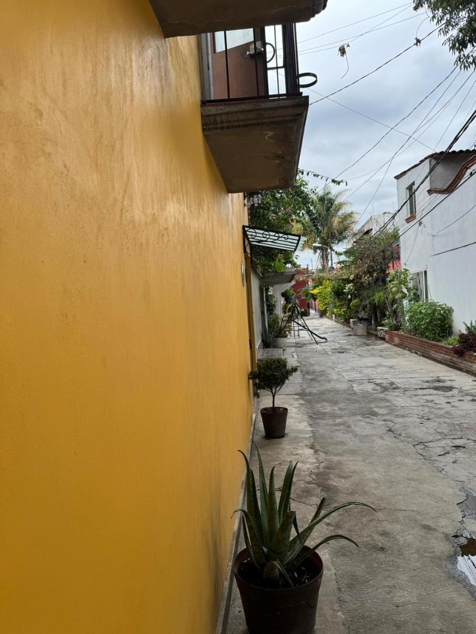 Hermosa Casa En Coyoacan *