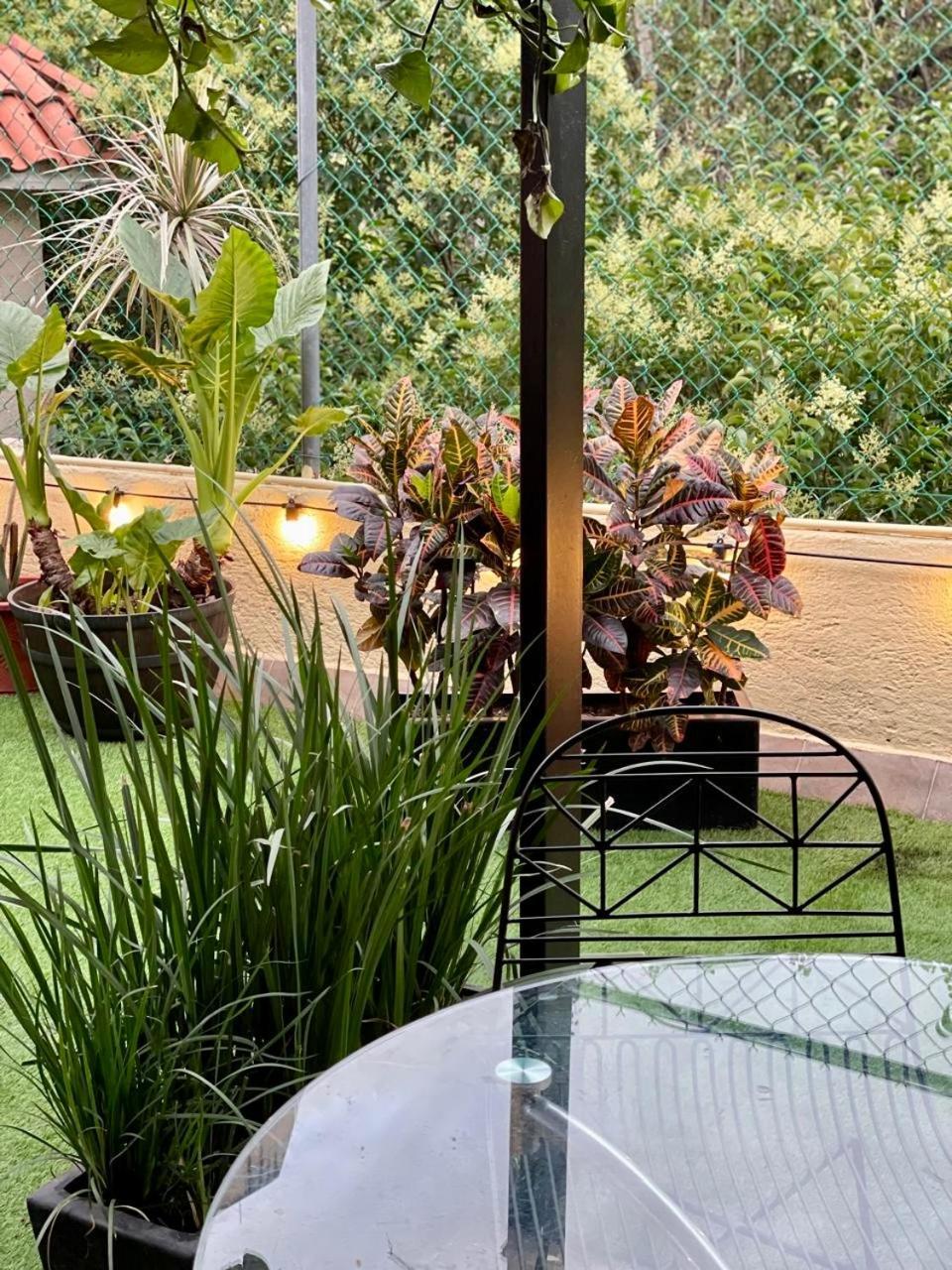 109 Roma - Condesa