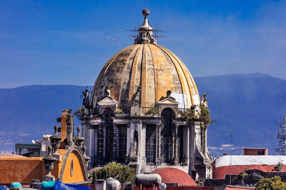 Guau Camina Al Zocalo Rooftop, Vigilancia * México DF