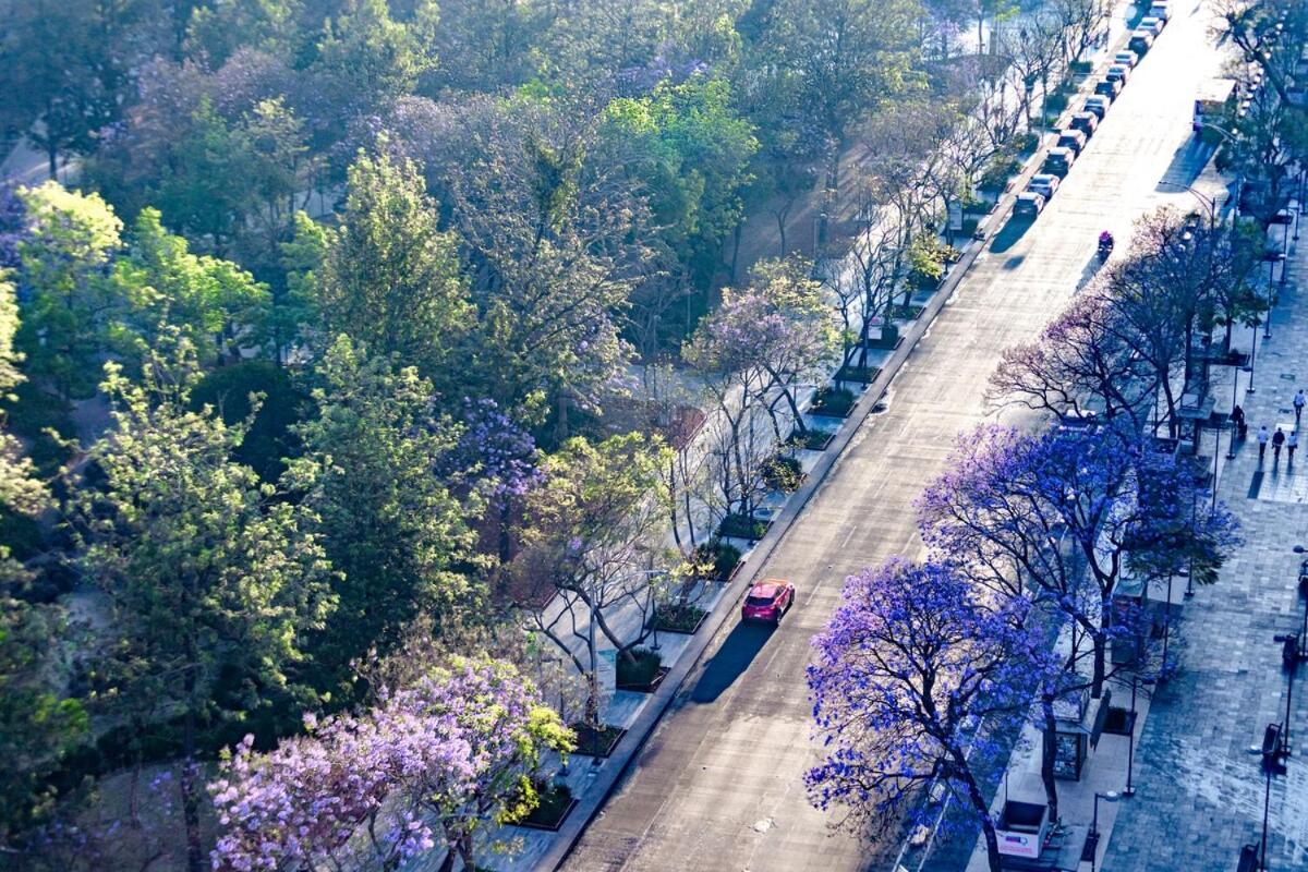 Apartamento Exclusiva Vista A Bellas Artes *