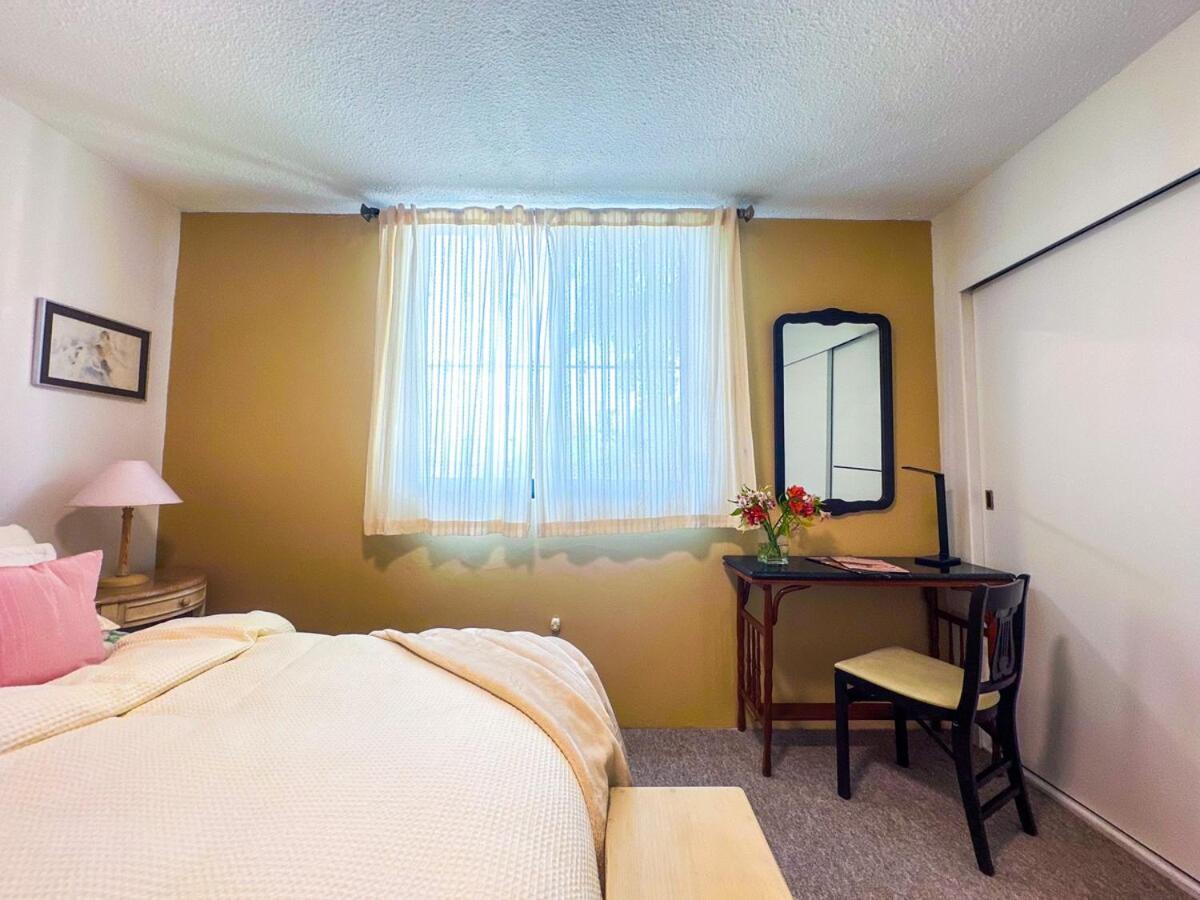 Mi Casita In Coyoacan - Comfort And Great Location