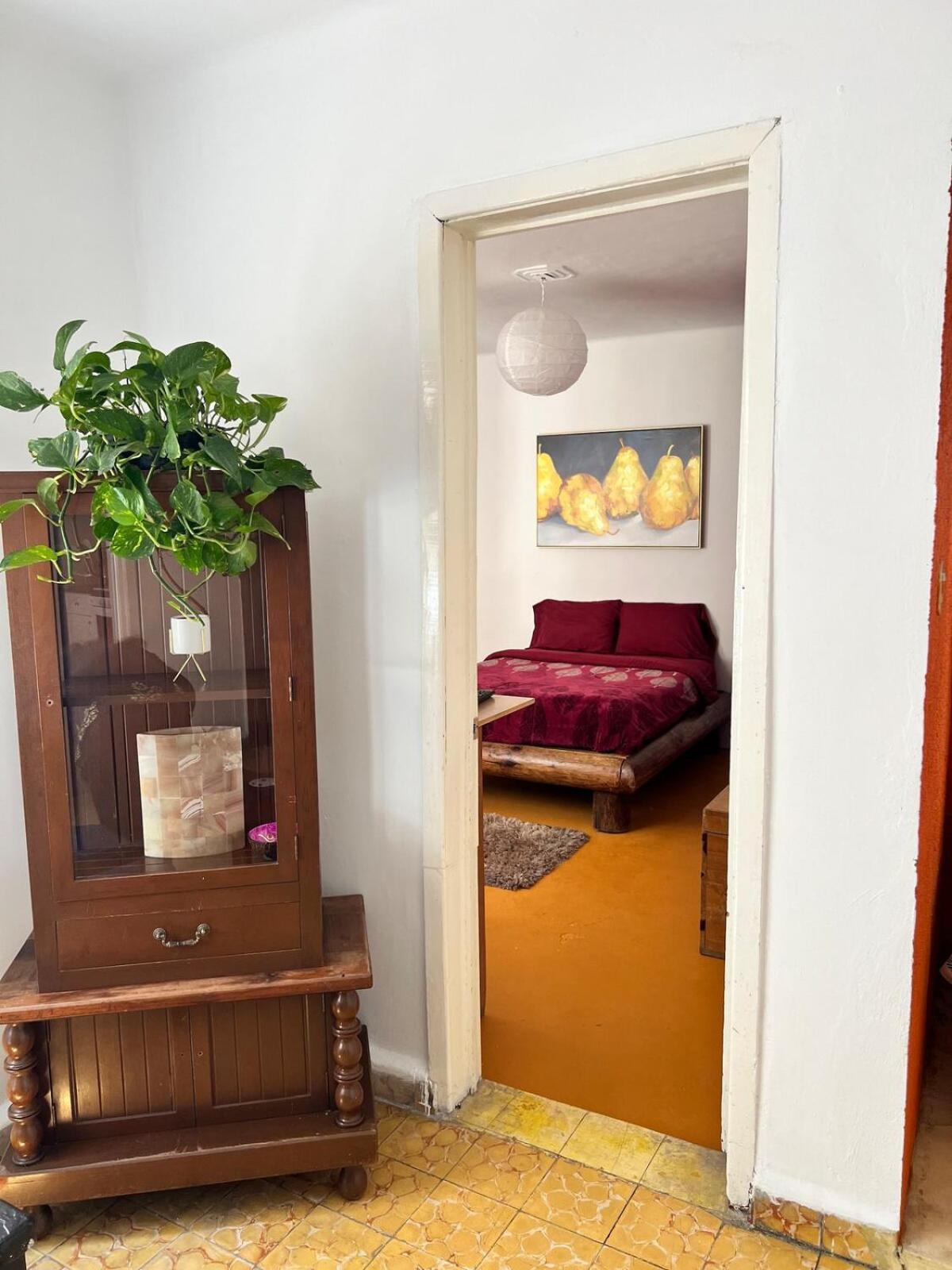 Apartment Condesa-roma N Charming, Cozy Mexican Style Mexico City