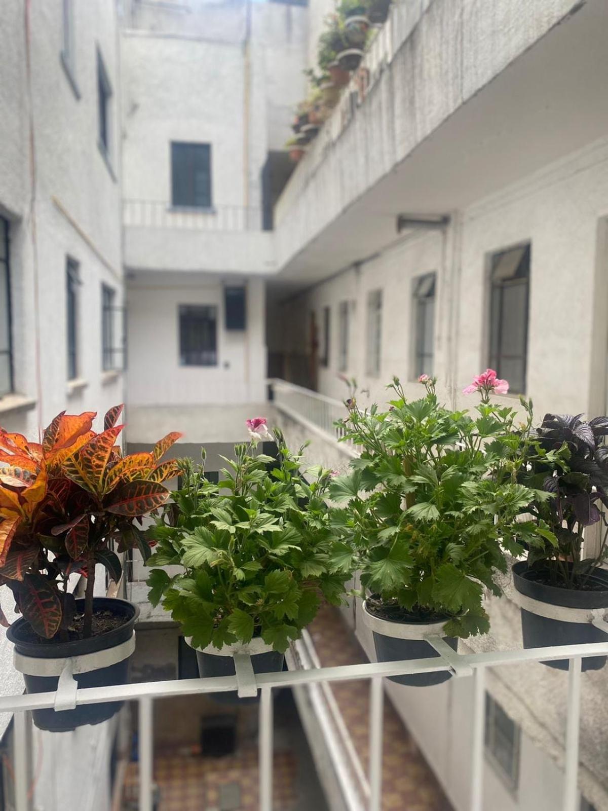 Condesa-roma N Charming, Cozy Mexican Style Apartment *