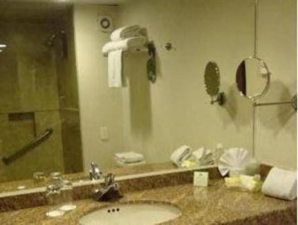 Hotel Coyoacan 3*