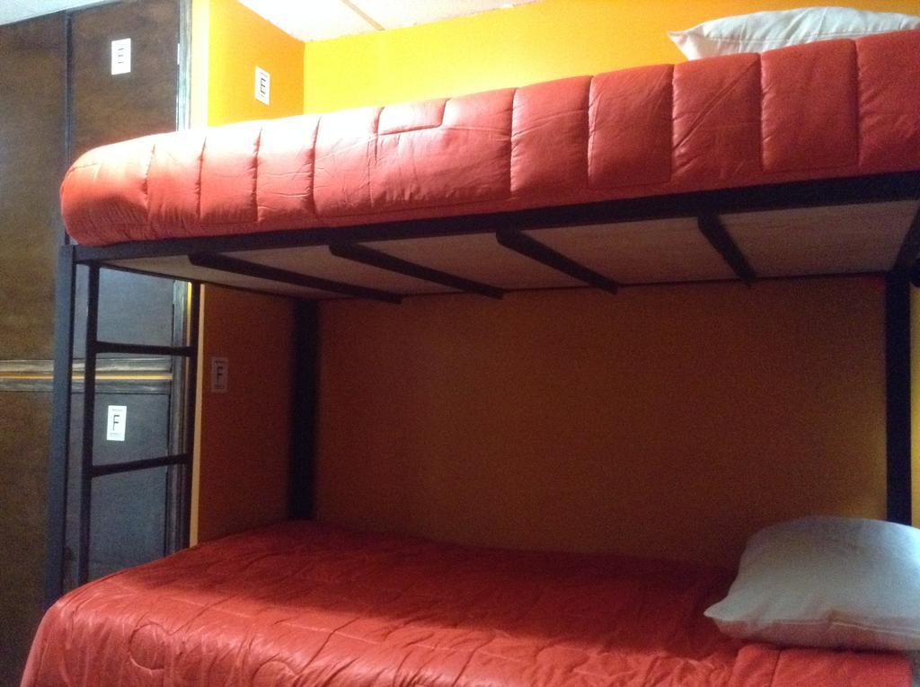 399 Conejos Y Yo *